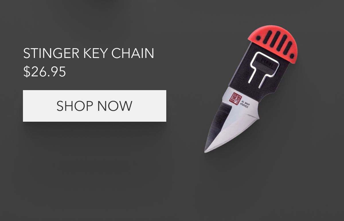 Stinger Key Chain