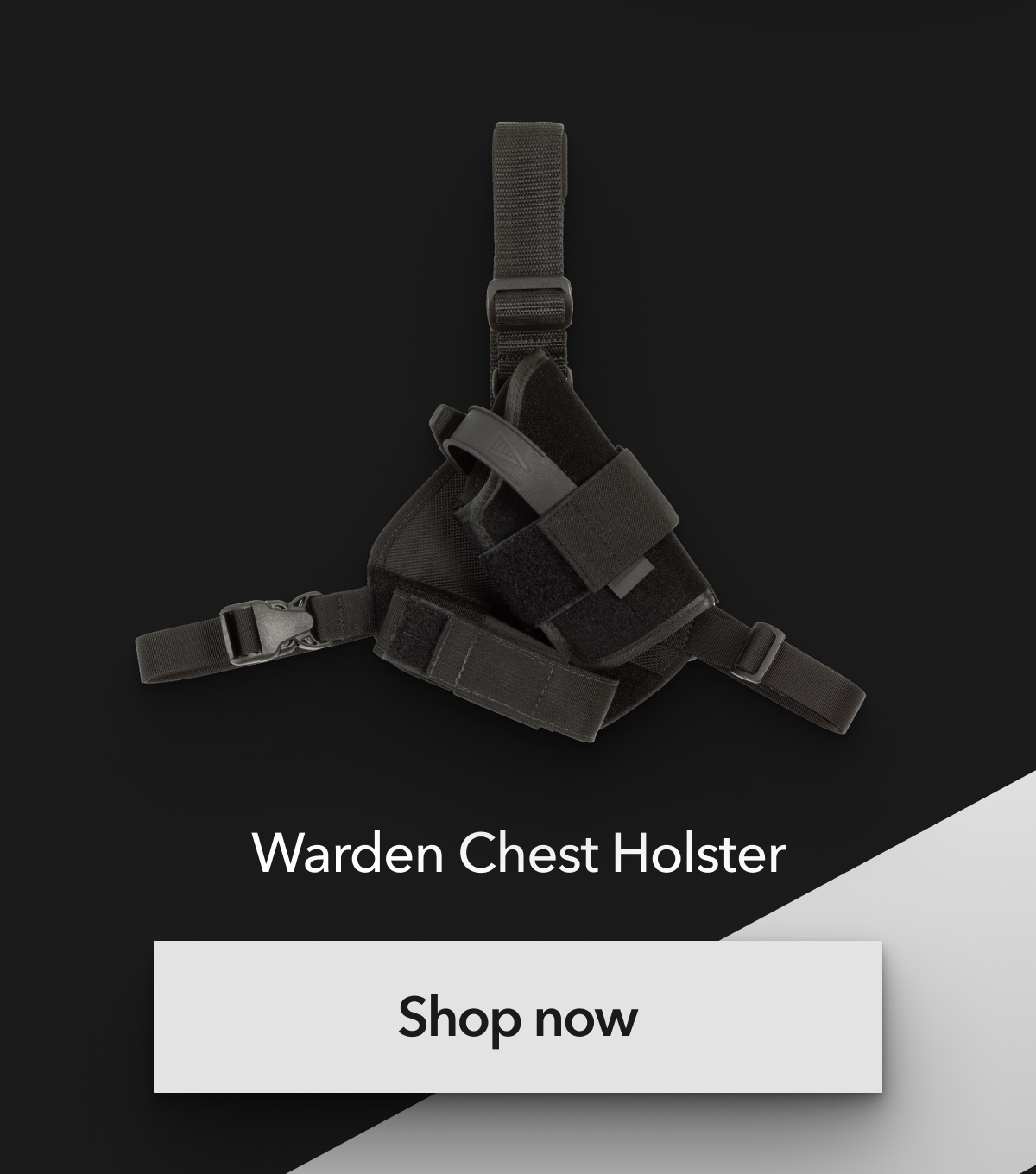 Warden Chest Holster