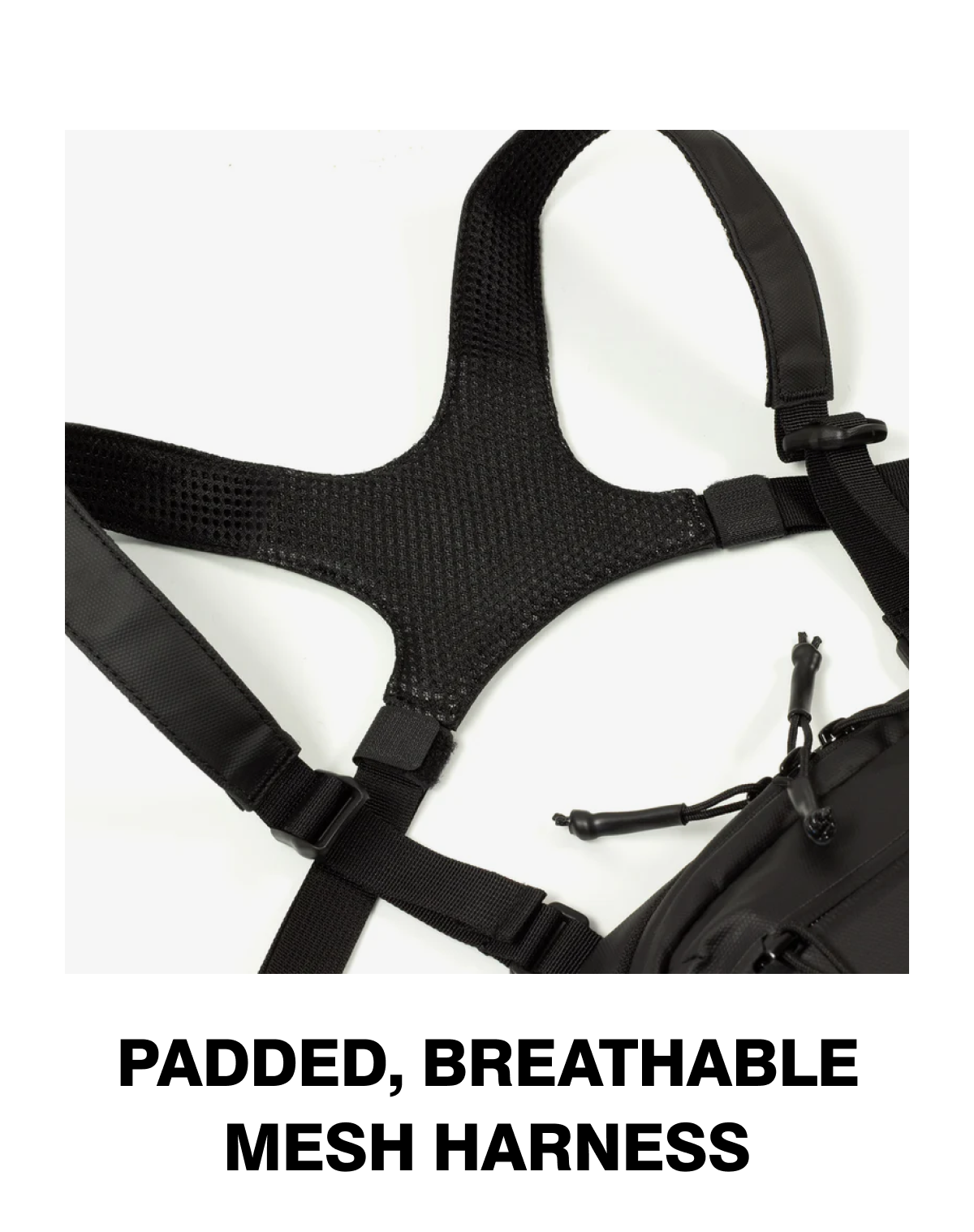 Padded, Breathable Mesh Harness