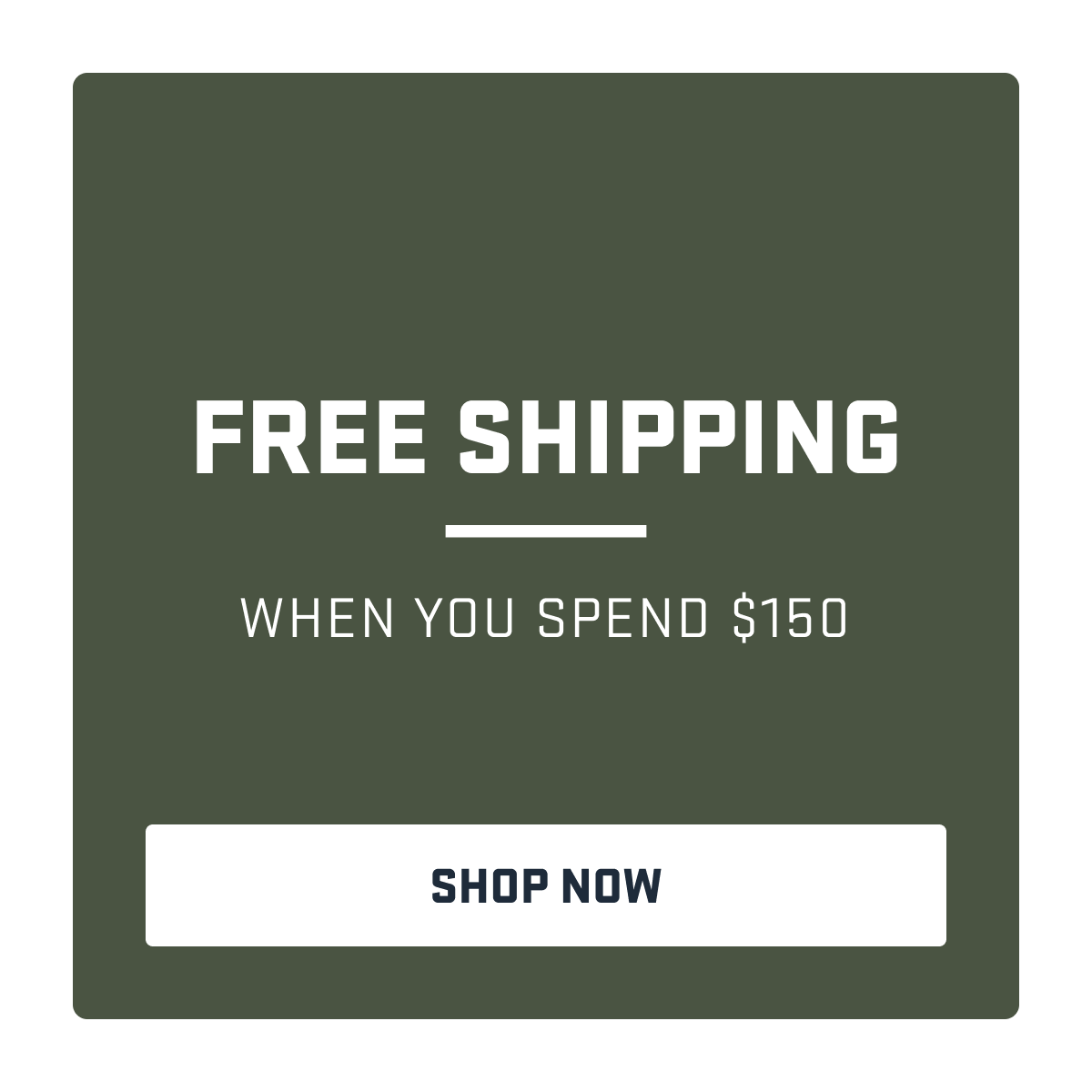 FREE SHIPPING WHEN YOU SPEND $150