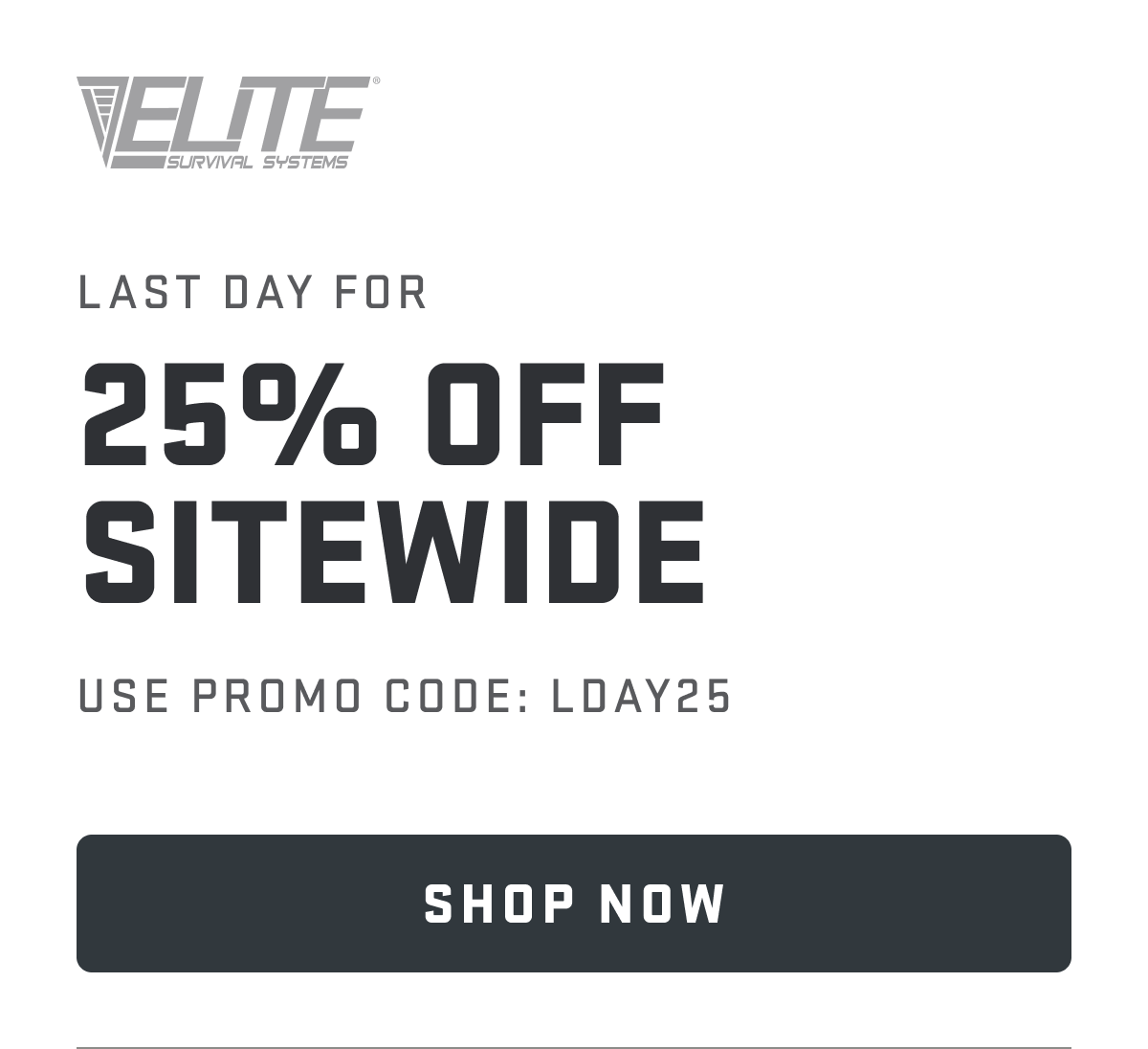 25% OFF SITEWIDE USING PROMO CODE: LDAY25